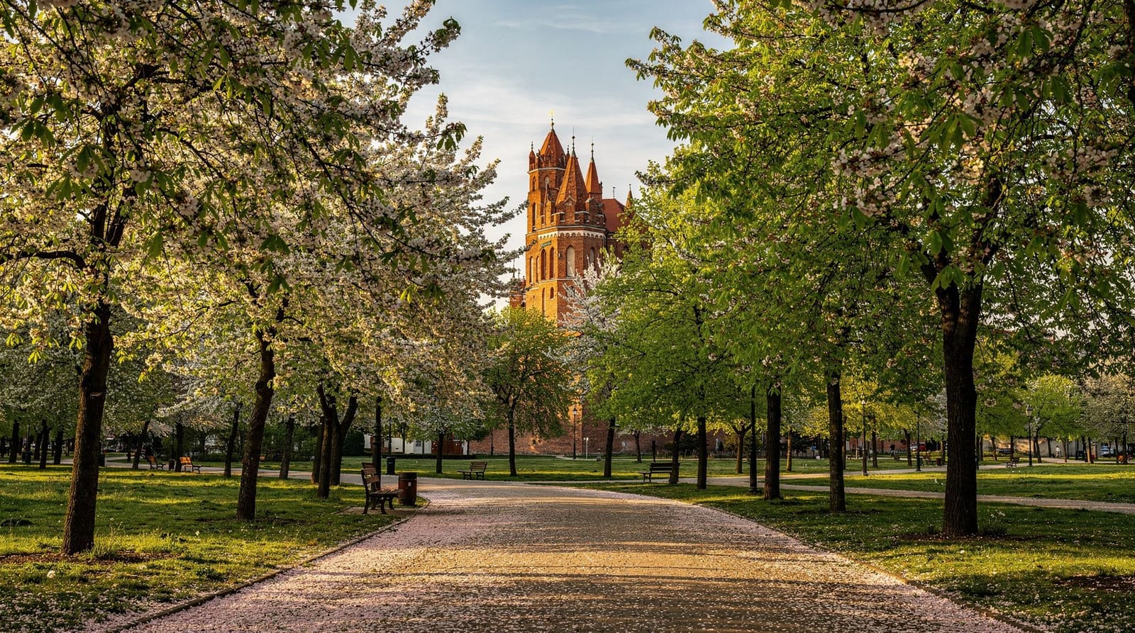 Kraków in spring: why April and May are the best months to visit